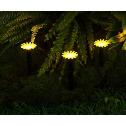 Globo - LED sončni niz 5xLED/3V IP44 300 mAh 2,2 m cvetki