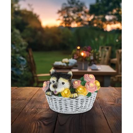 Globo - LED solarna svetilka LED/1,2V IP44 300 mAh pes