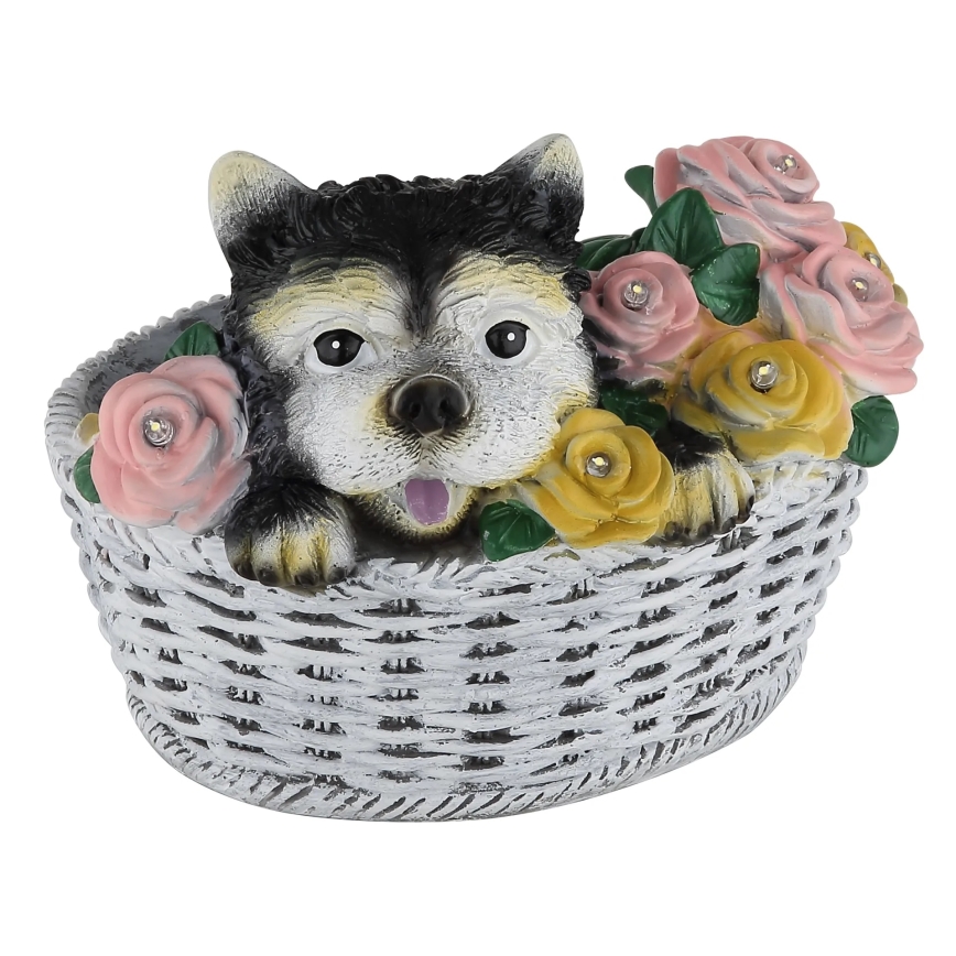 Globo - LED solarna svetilka LED/1,2V IP44 300 mAh pes