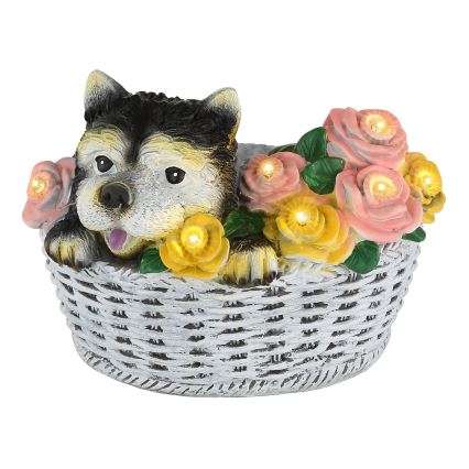 Globo - LED solarna svetilka LED/1,2V IP44 300 mAh pes