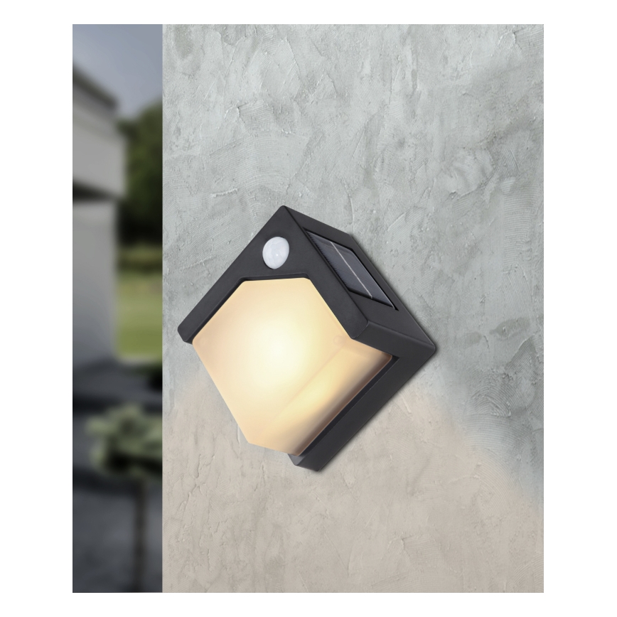 Globo - LED Solarna svetilka s senzorjem LED/0,48W/3V IP44 600 mAh