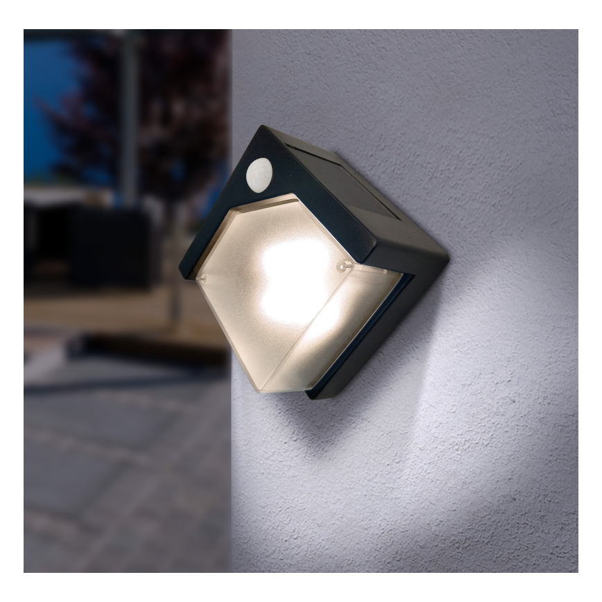 Globo - LED Solarna svetilka s senzorjem LED/0,48W/3V IP44 600 mAh
