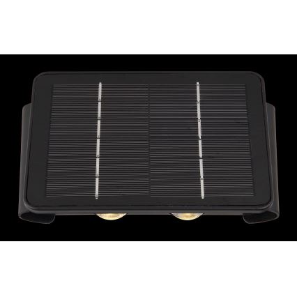 Globo - LED Solarna svetilka LED/1W/3,2V 3000K IP54