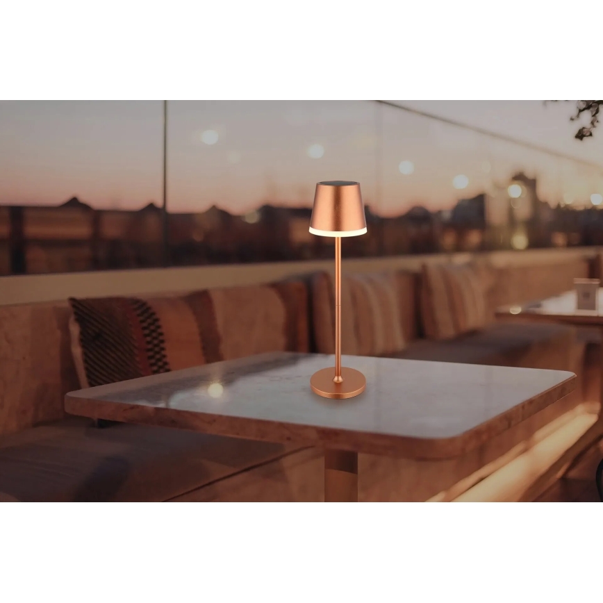 Globo - LED Solarna svetilka LED/0,6W/3V 3000K IP44 baker