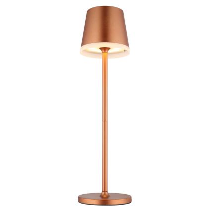 Globo - LED Solarna svetilka LED/0,6W/3V 3000K IP44 baker