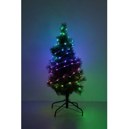 Globo - LED RGB Trak 100xLED/0,06W/5V 10 m 27 funkcij