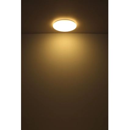 Globo - LED Stropna svetilka LED/24W/230V pr. 49,5 cm bela