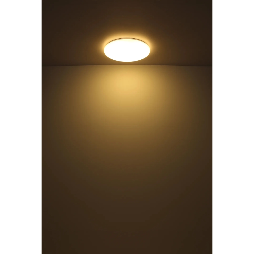 Globo - LED Stropna svetilka LED/24W/230V pr. 49,5 cm bela