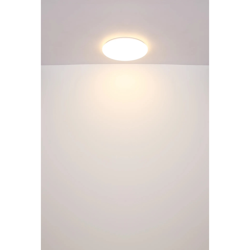 Globo - LED Stropna svetilka LED/24W/230V pr. 49,5 cm bela