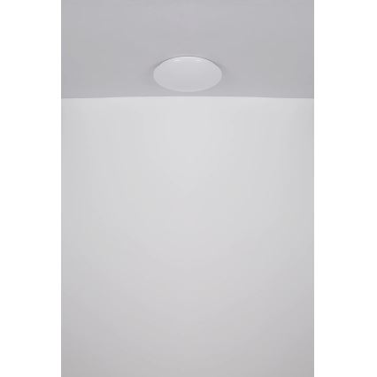 Globo - LED Stropna svetilka LED/24W/230V pr. 49,5 cm bela