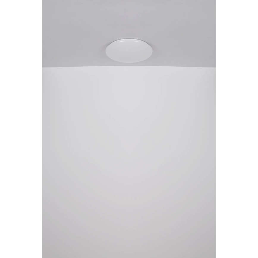 Globo - LED Stropna svetilka LED/24W/230V pr. 49,5 cm bela