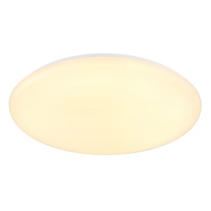 Globo - LED Stropna svetilka LED/24W/230V pr. 49,5 cm bela