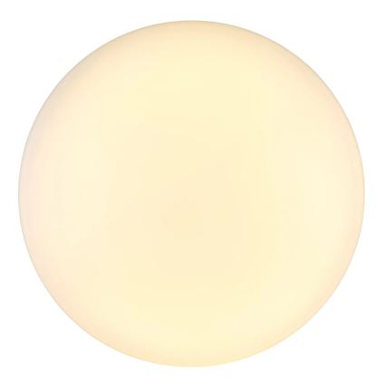 Globo - LED Stropna svetilka LED/24W/230V pr. 49,5 cm bela