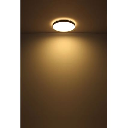Globo - LED Stropna svetilka LED/24W/230V pr. 48 cm antracit