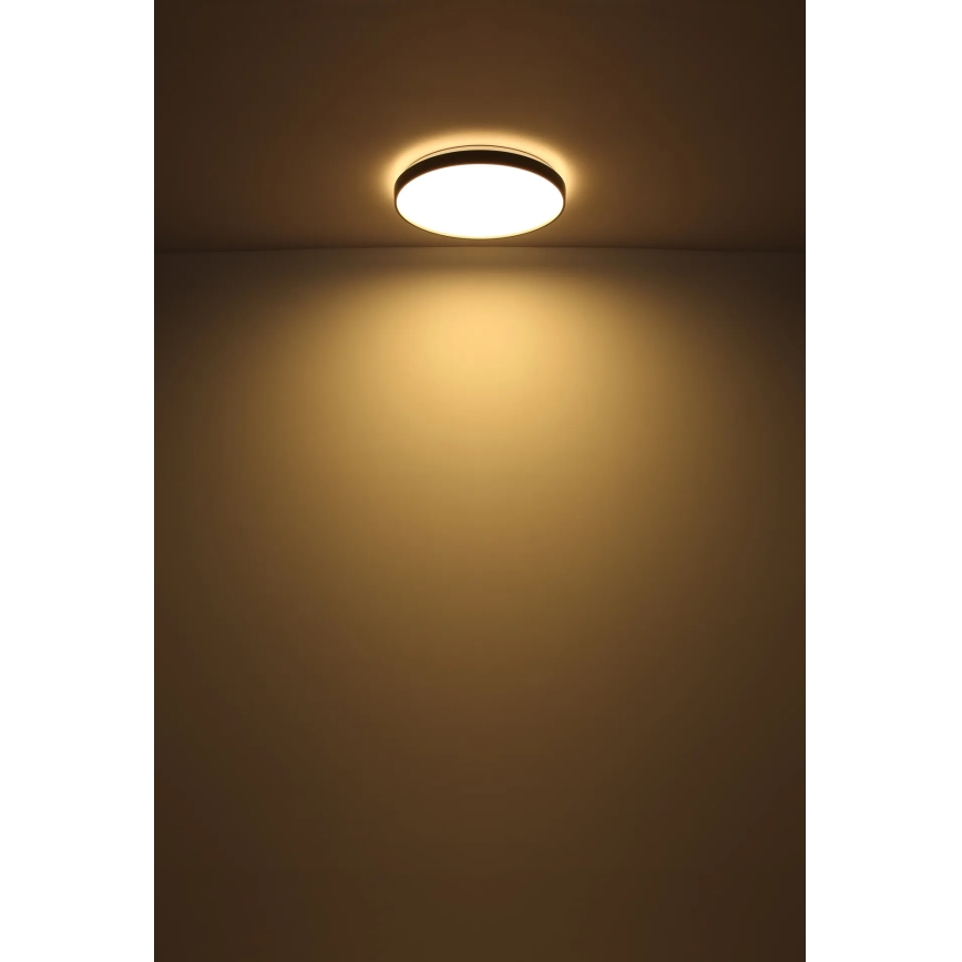 Globo - LED Stropna svetilka LED/24W/230V pr. 48 cm antracit