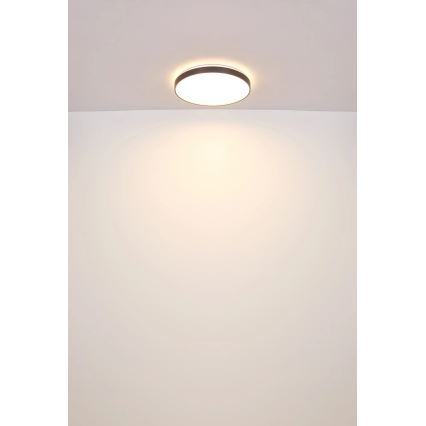 Globo - LED Stropna svetilka LED/24W/230V pr. 48 cm antracit