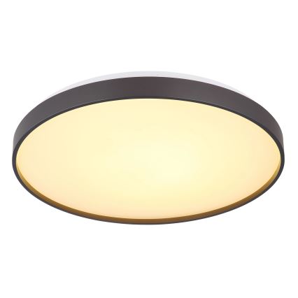 Globo - LED Stropna svetilka LED/24W/230V pr. 48 cm antracit