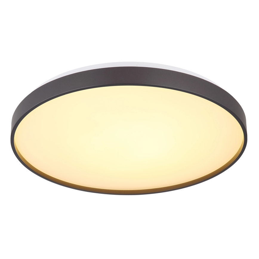 Globo - LED Stropna svetilka LED/24W/230V pr. 48 cm antracit