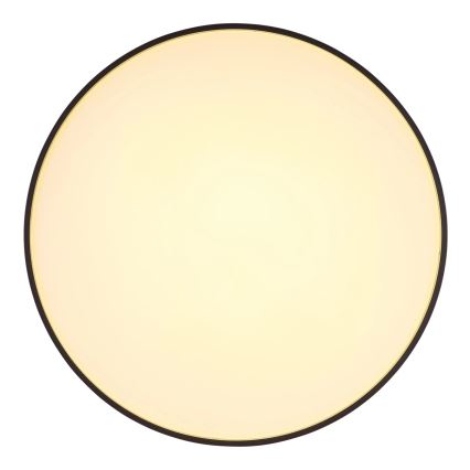 Globo - LED Stropna svetilka LED/24W/230V pr. 48 cm antracit