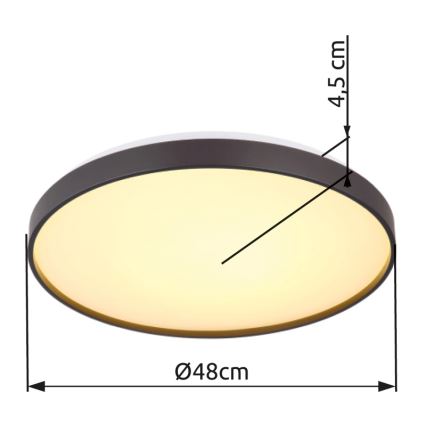 Globo - LED Stropna svetilka LED/24W/230V pr. 48 cm antracit