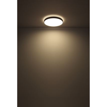 Globo - LED Stropna svetilka LED/24W/230V