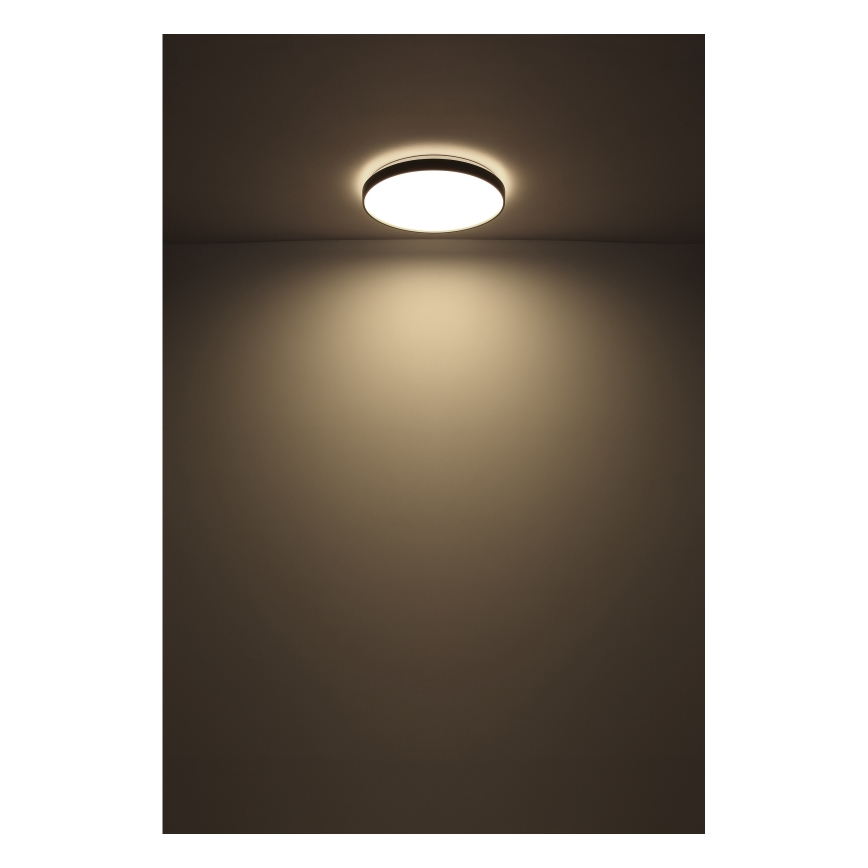 Globo - LED Stropna svetilka LED/24W/230V