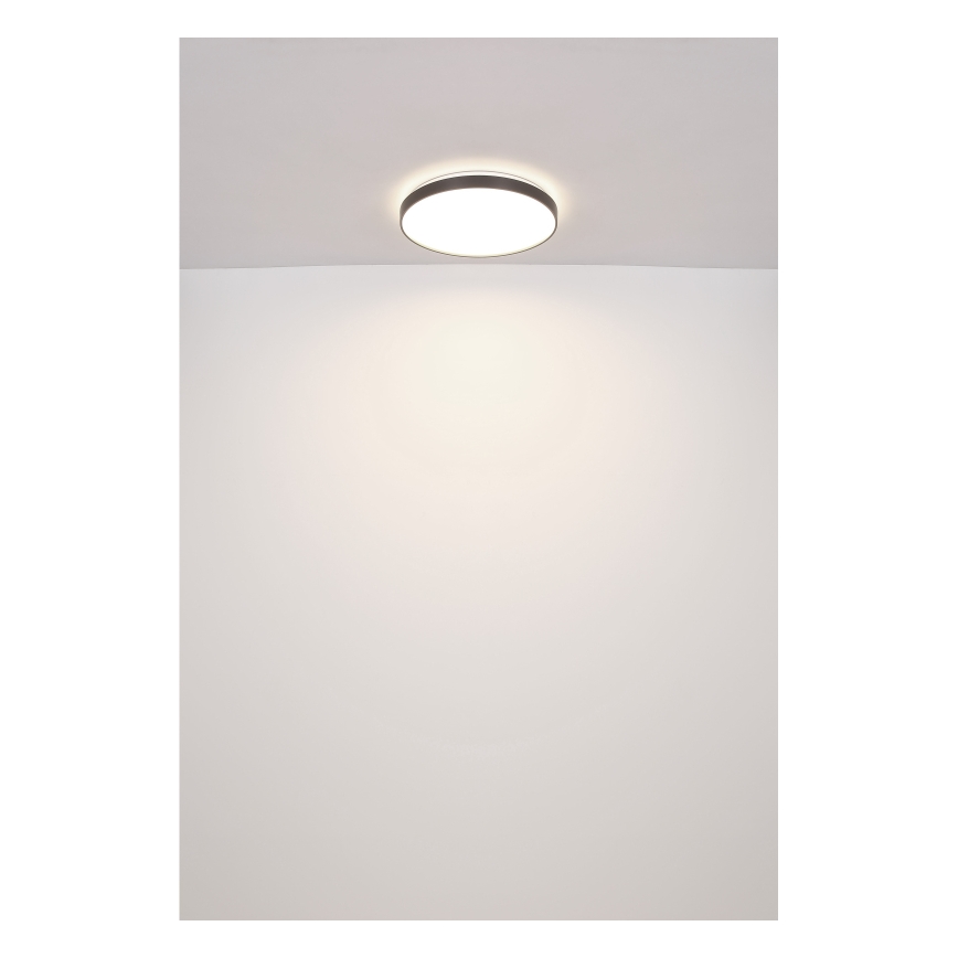Globo - LED Stropna svetilka LED/24W/230V
