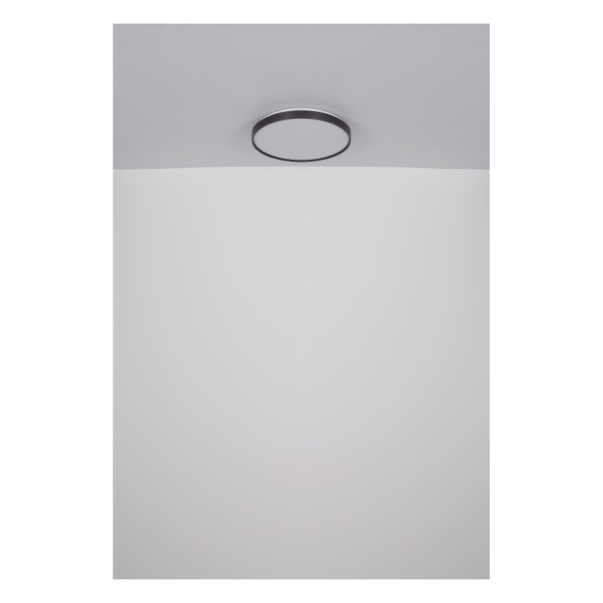 Globo - LED Stropna svetilka LED/24W/230V