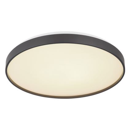 Globo - LED Stropna svetilka LED/24W/230V