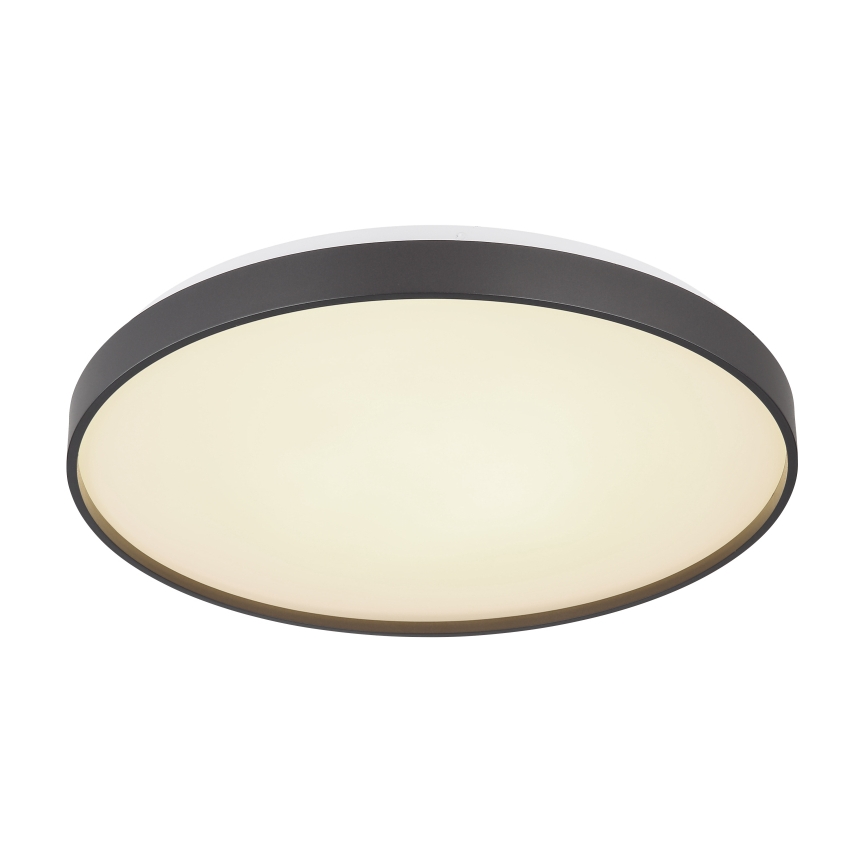 Globo - LED Stropna svetilka LED/24W/230V