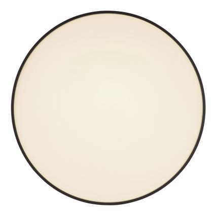 Globo - LED Stropna svetilka LED/24W/230V