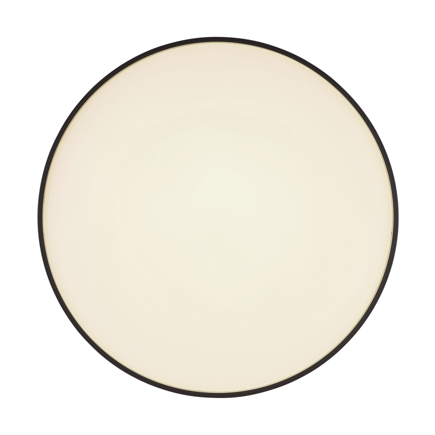Globo - LED Stropna svetilka LED/24W/230V