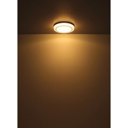 Globo - LED Stropna svetilka LED/24W/230V pr. 40 cm 3000K bela