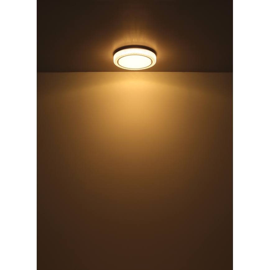 Globo - LED Stropna svetilka LED/24W/230V pr. 40 cm 3000K bela