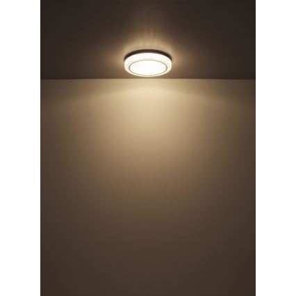 Globo - LED Stropna svetilka LED/24W/230V pr. 40 cm 4000K bela