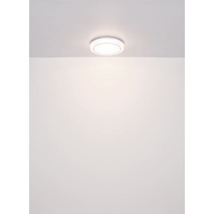Globo - LED Stropna svetilka LED/24W/230V pr. 40 cm 4000K bela