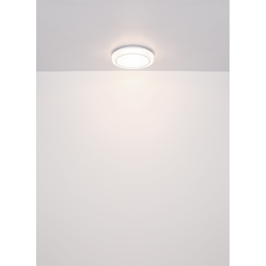 Globo - LED Stropna svetilka LED/24W/230V pr. 40 cm 4000K bela