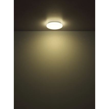 Globo - LED stropna svetilka LED/8W/230V 4000K premer 55 cm