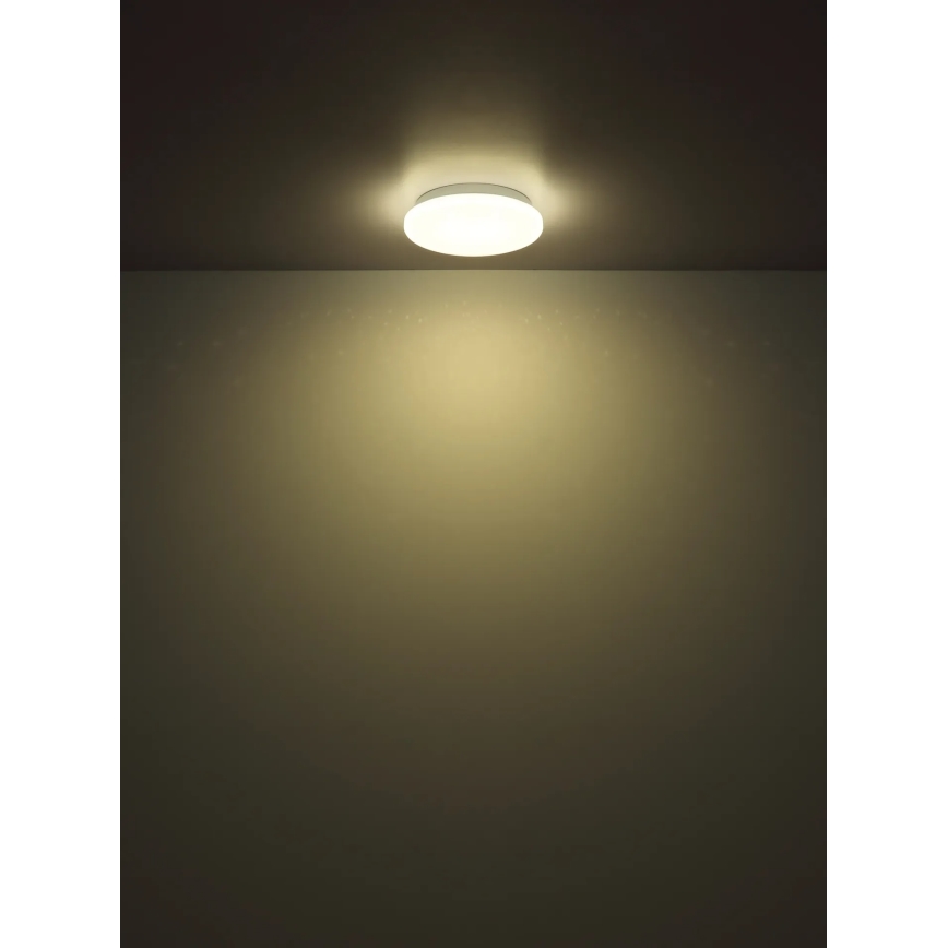 Globo - LED stropna svetilka LED/8W/230V 4000K premer 55 cm