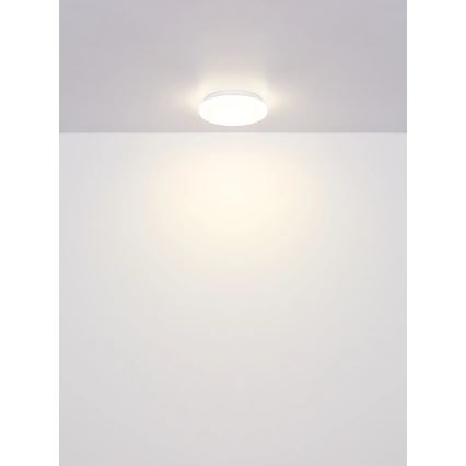 Globo - LED stropna svetilka LED/8W/230V 4000K premer 55 cm