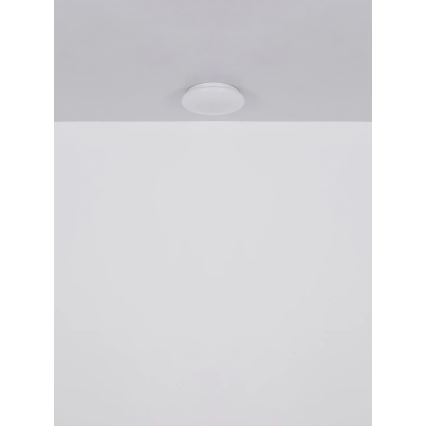 Globo - LED stropna svetilka LED/8W/230V 4000K premer 55 cm