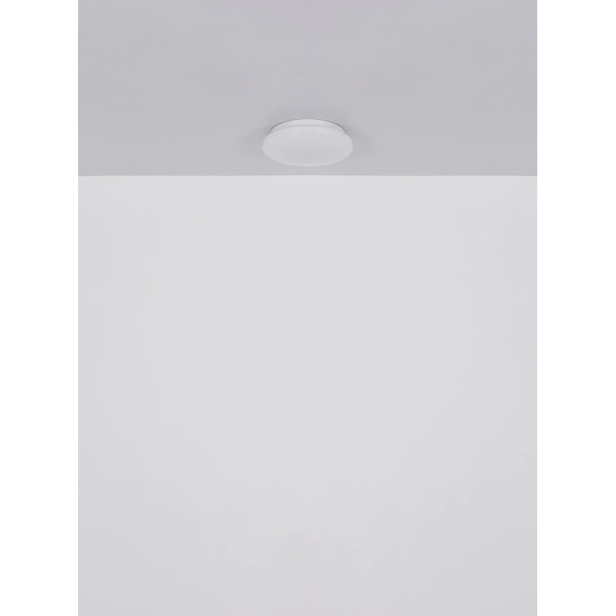 Globo - LED stropna svetilka LED/8W/230V 4000K premer 55 cm