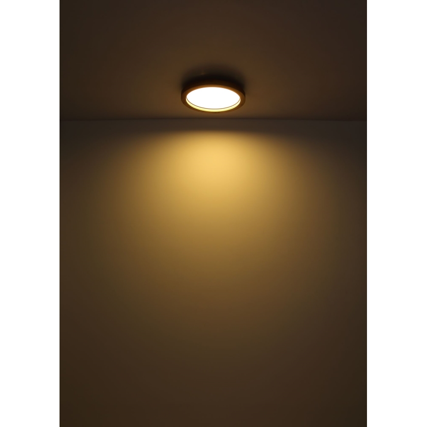 Globo - LED RGBW Zatemnitvena stropna svetilka LED/24W/230V 2700-6000K + Daljinski upravljalnik
