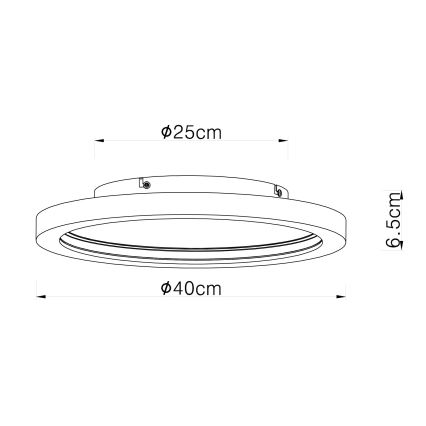 Globo - LED RGBW Zatemnitvena stropna svetilka LED/24W/230V 2700-6000K + Daljinski upravljalnik