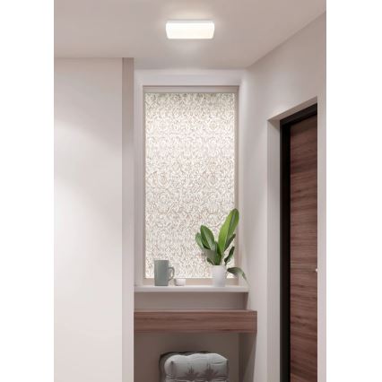 Globo - LED stropna svetilka LED/12W/230V 3000/4200/6500K 28,5x13,5 cm