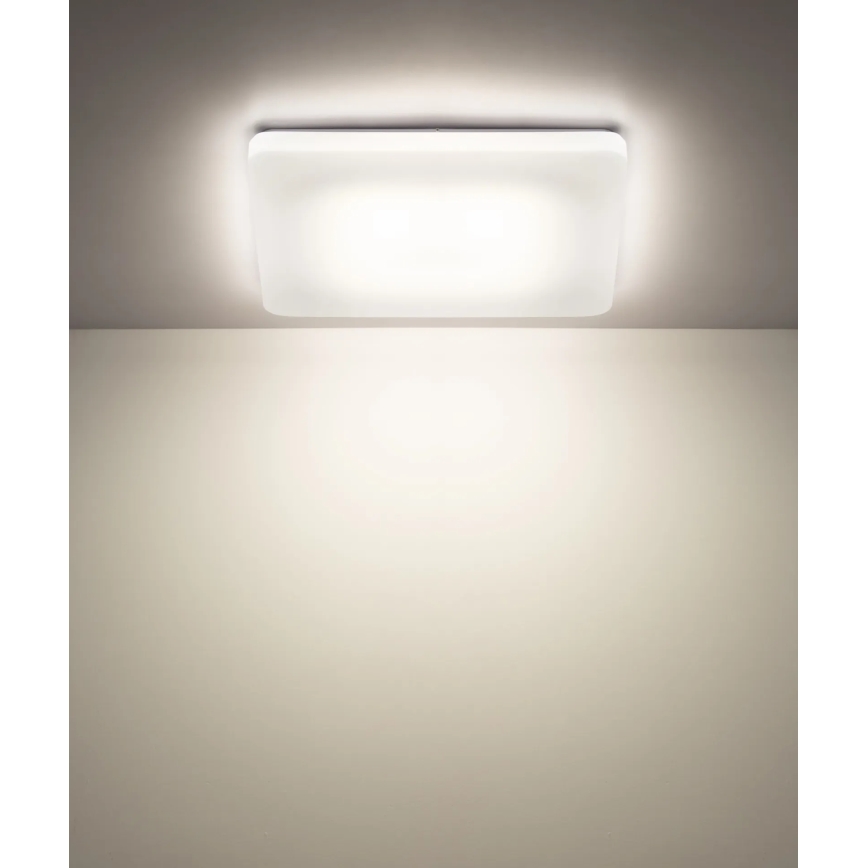 Globo - LED stropna svetilka LED/24W/230V 3000/4200/6500K 41x41 cm