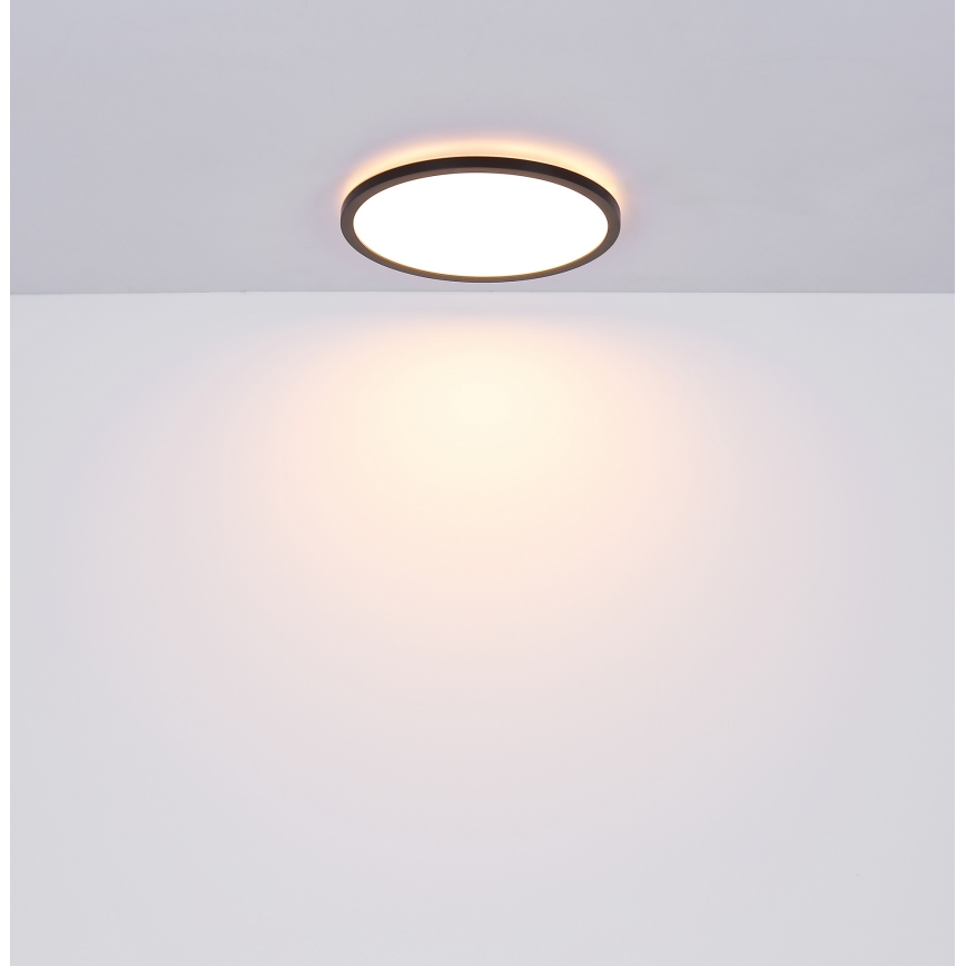 Globo - LED Kopalniška zatemnitvena stropna svetilka LED/18W/230V pr. 29,4 cm IP44 črna