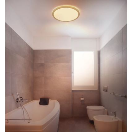 Globo - LED Kopalniška zatemnitvena stropna svetilka LED/18W/230V 3000K IP44 pr. 29,4 cm medenina