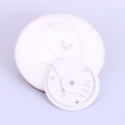 Globo - LED Kopalniška zatemnitvena stropna svetilka LED/18W/230V pr. 29,4 cm IP44 rjava