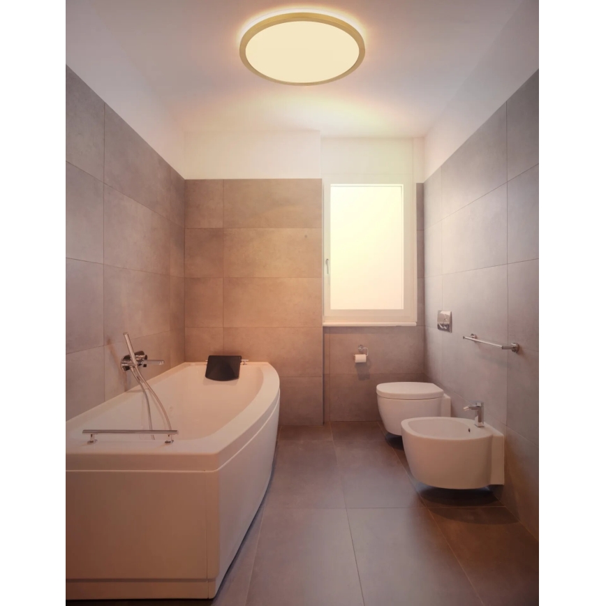 Globo - LED Kopalniška zatemnitvena stropna svetilka LED/24W/230V 3000K IP44 pr. 42 cm medenina